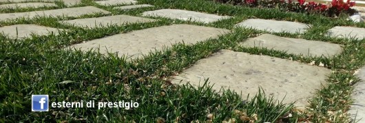 basolato esterni facebook