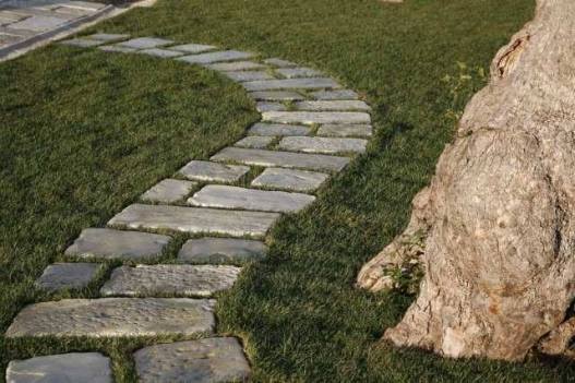 basolato vialetto olivo