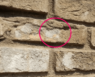 DETTAGLIO PERDITA COLORE