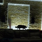 Quando, con meno di 10 mq. trasformi il tuo soggiorno