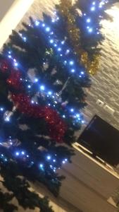 quarzite grigioperla