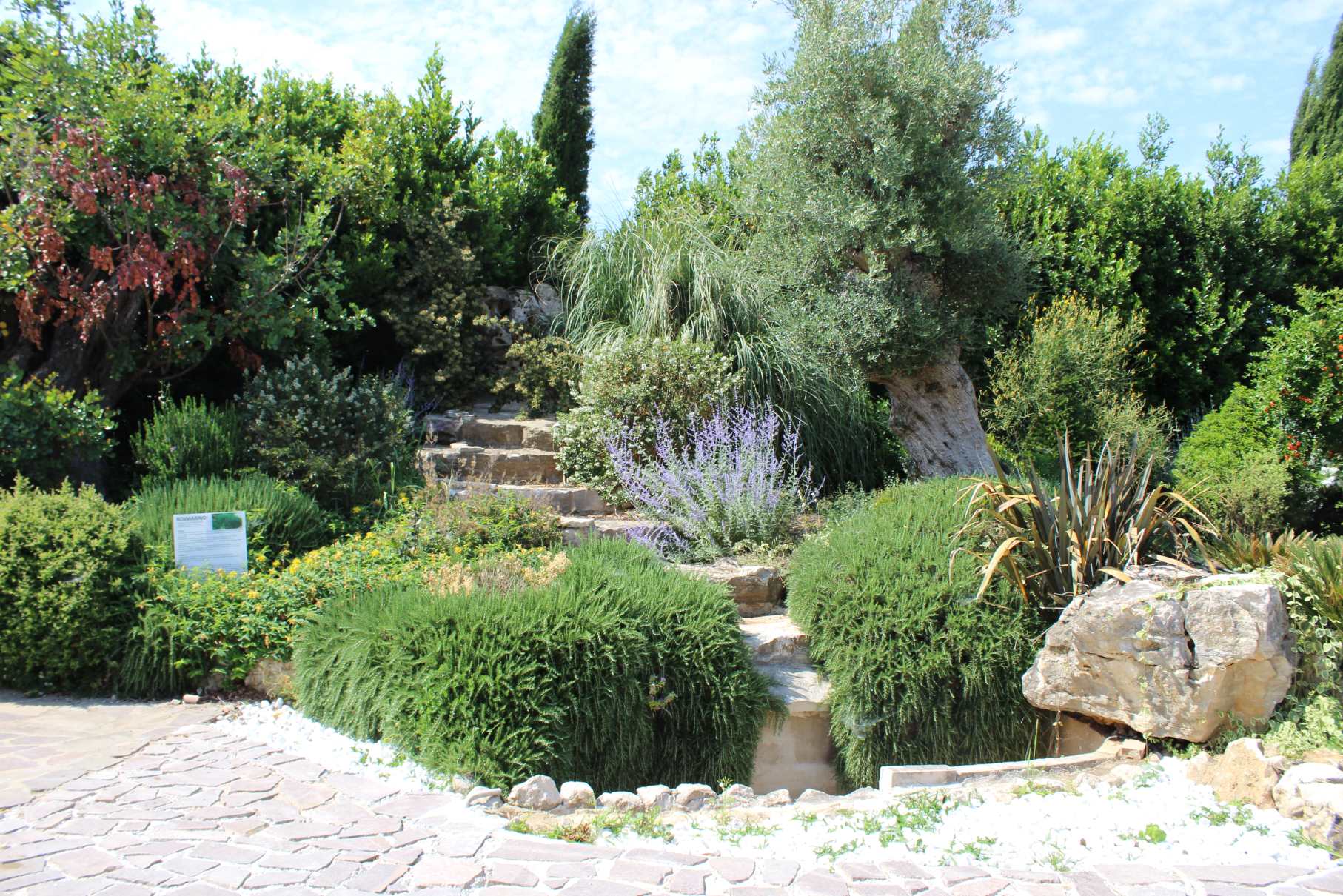 PAVIMENTI PER ALBERGHI, PAVIMENTI PER AGRITURISMO, PAVIMENTI PARTICOLARI, PAVIMENTI PER STRUTTURE RICETTIVE, PAVIMENTI PER ESTERNI, PAVIMENTI PER ESTERNO, PAVIMENTI PIETRA RICOMPOSTA, PAVIMENTI PER AGRITURISMO, PIETRA RICOSTRUITA PRIMICERI, VECCHIO BASOLATO, PRIMICERI, CHIANCA, ALBERGHI, PAVIMENTI PER AGRITURISMO